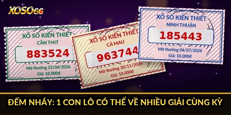 Bao lô là gì? Giải nghĩa từ gốc và cách phân biệt với lô, đề 3 Đếm nháy: 1 con lô có thể về nhiều giải cùng kỳ